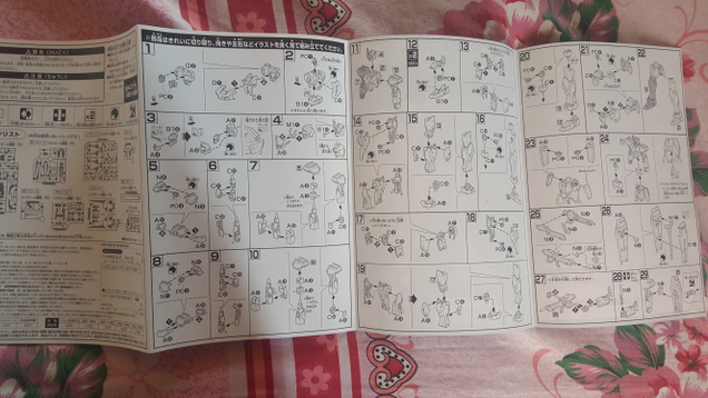Seems as good a time as any to start learning Japanese